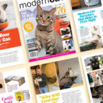 Modern Cat Issue Release Spring Summer 2022