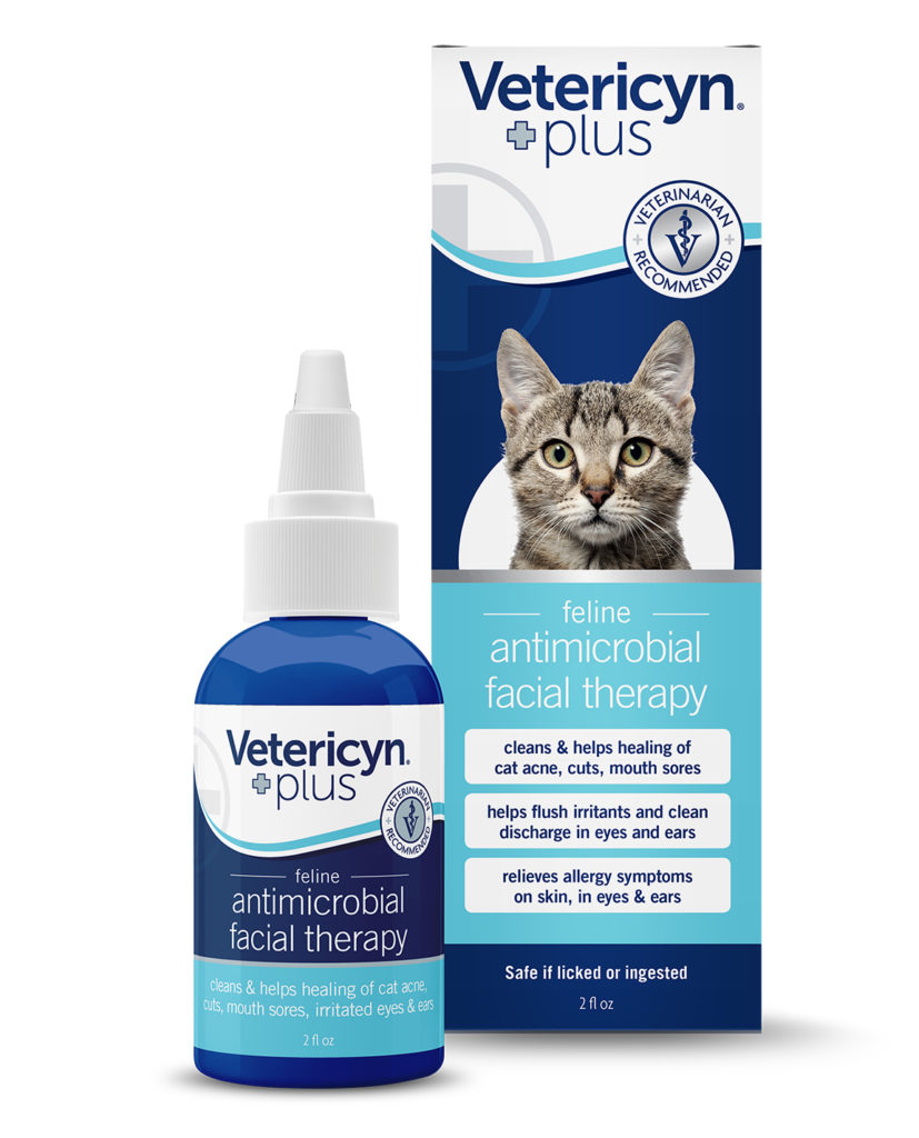 Feline Antimicrobial Facial Therapy