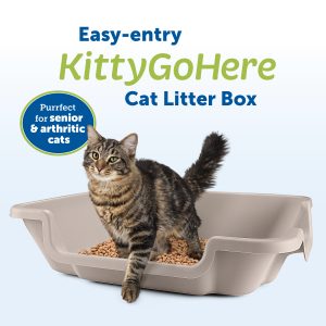 Kitty Go Here Litter Box