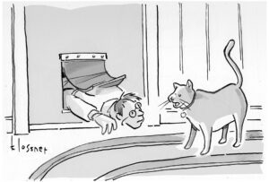 Cartoon of Cat