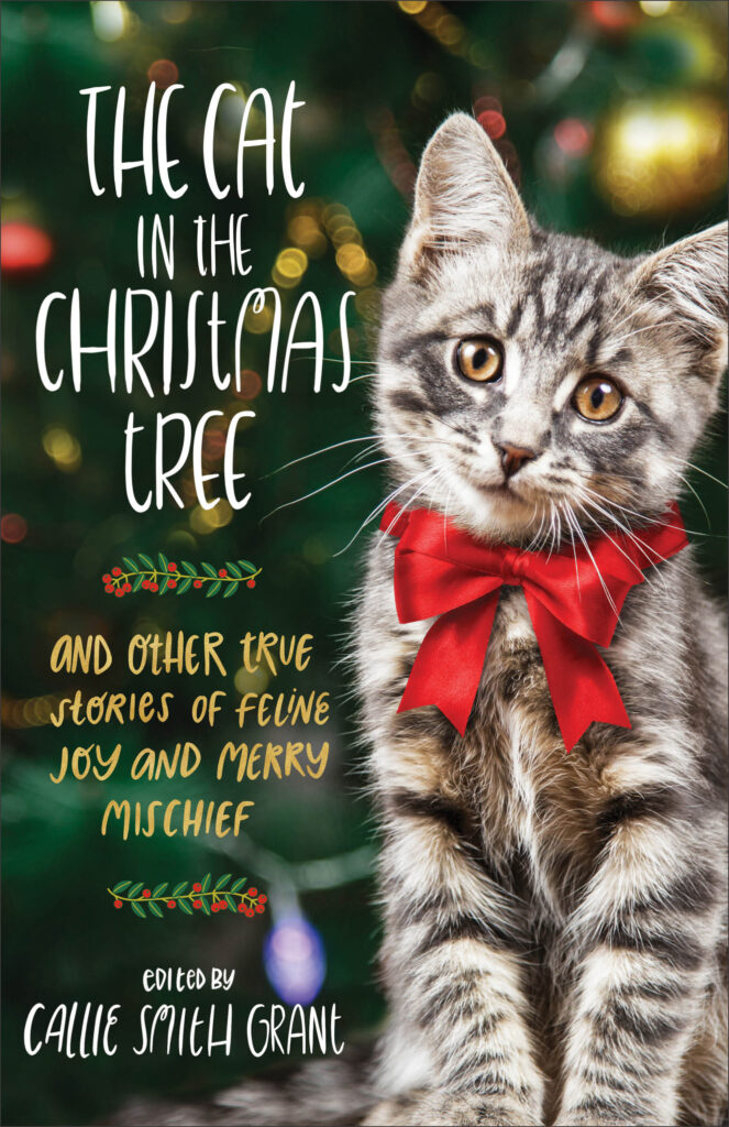 The Cat in the Christmas Tree Book