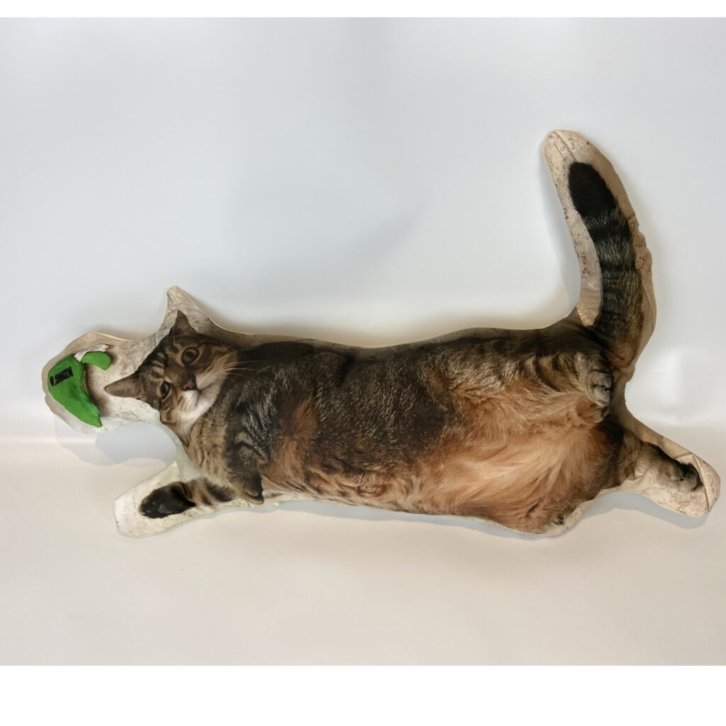 Custom Made Cat-Shaped Cushion