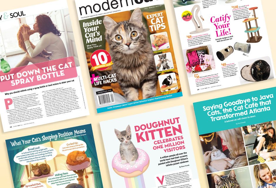 Modern Cat Fall Winter 2022 Issue Release