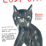 Cat Website | Best Print & Digital Cat Magazine | Modern Cat