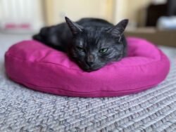Fluffy Organic Cat Bed Pillow