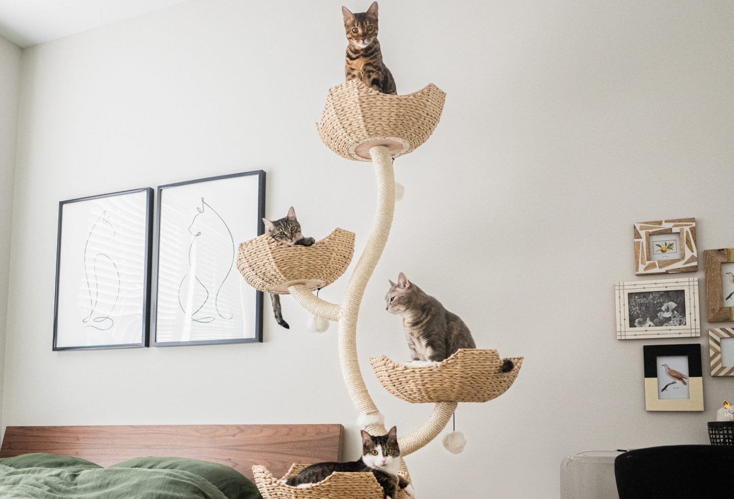 The Mau Pets Ivy Cat Tree (from $389, maupets.com)