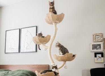 The Mau Pets Ivy Cat Tree (from $389, maupets.com)