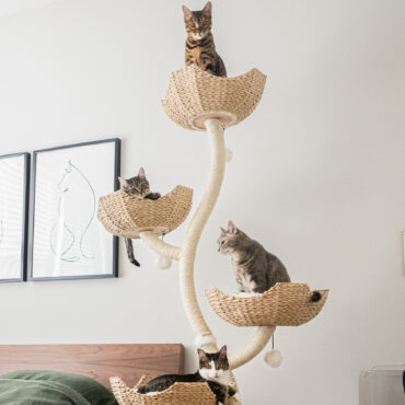 The Mau Pets Ivy Cat Tree (from $389, maupets.com)