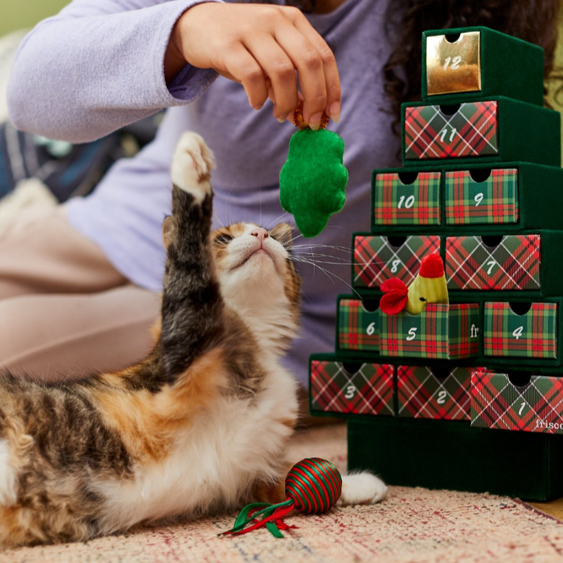 Best Advent Calendar for Pets 2022