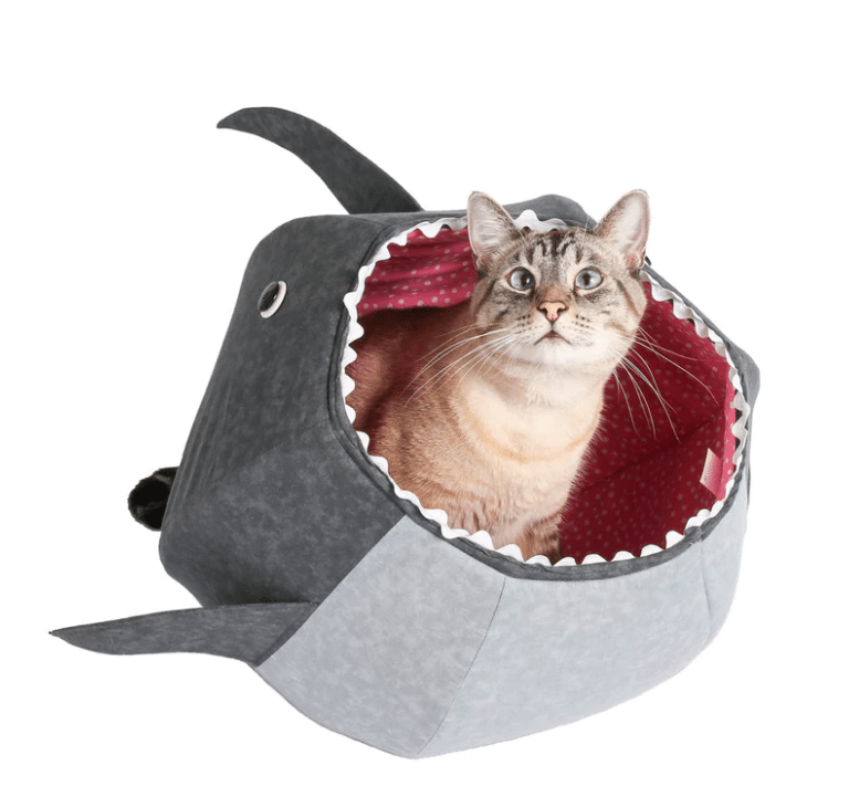 cute shark cat bed