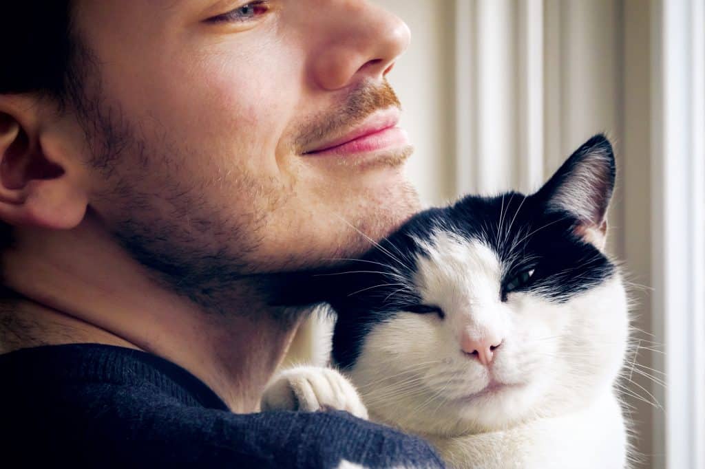 Tuxedo cat snuggling with owner