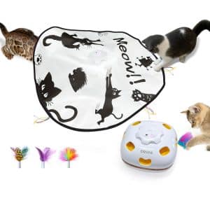 ORSDA Cat toys