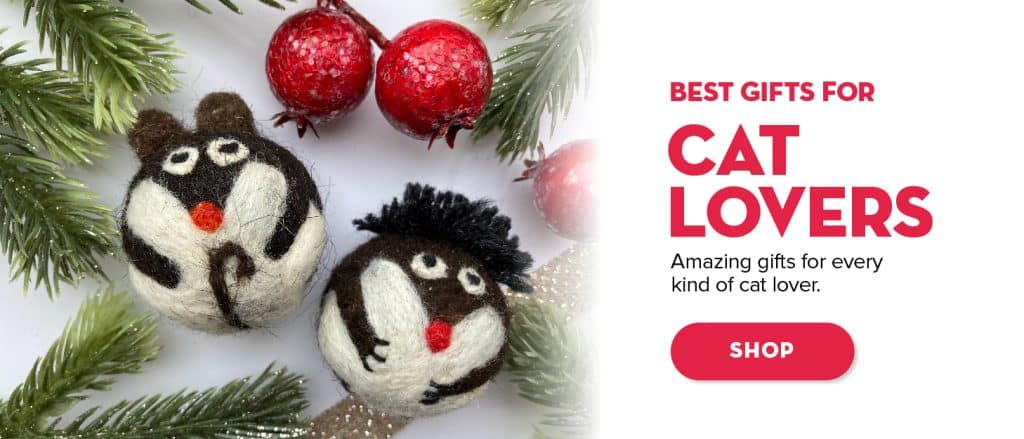Best gifts for cat lovers on your shopping list