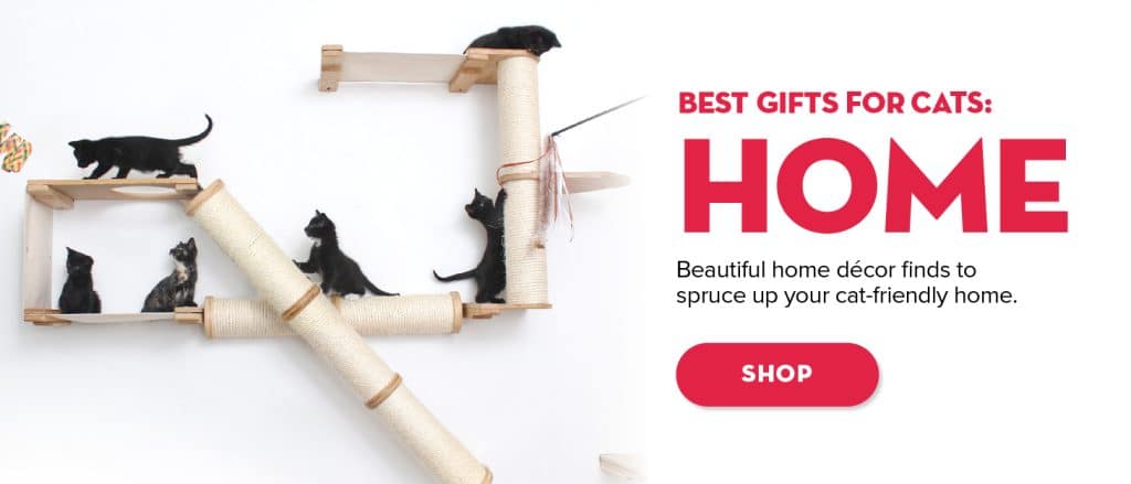 Best gifts for cat friendly homes