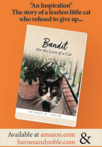 Bandit - For the Love of a Cat