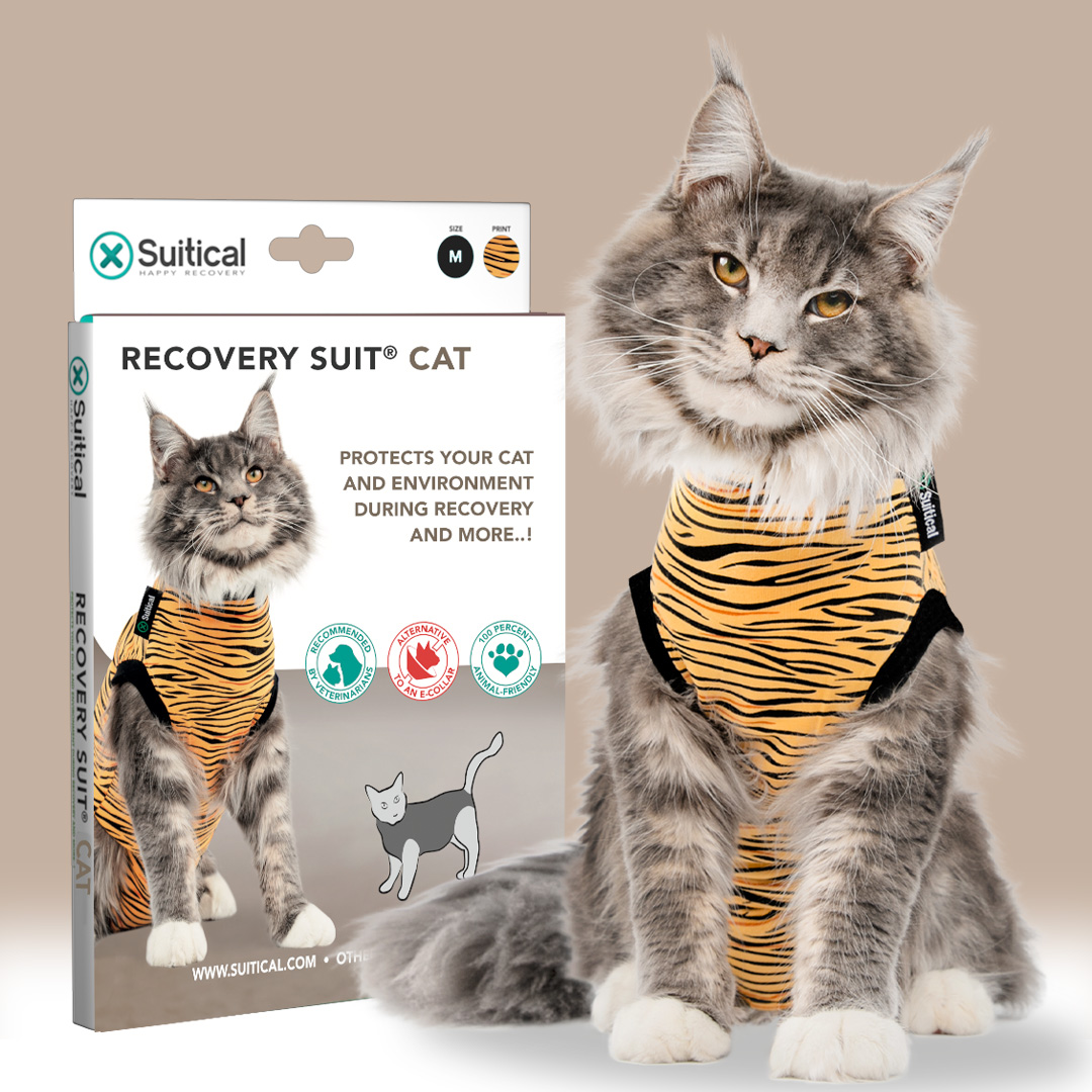 Suitical Recovery Suit —  Modern