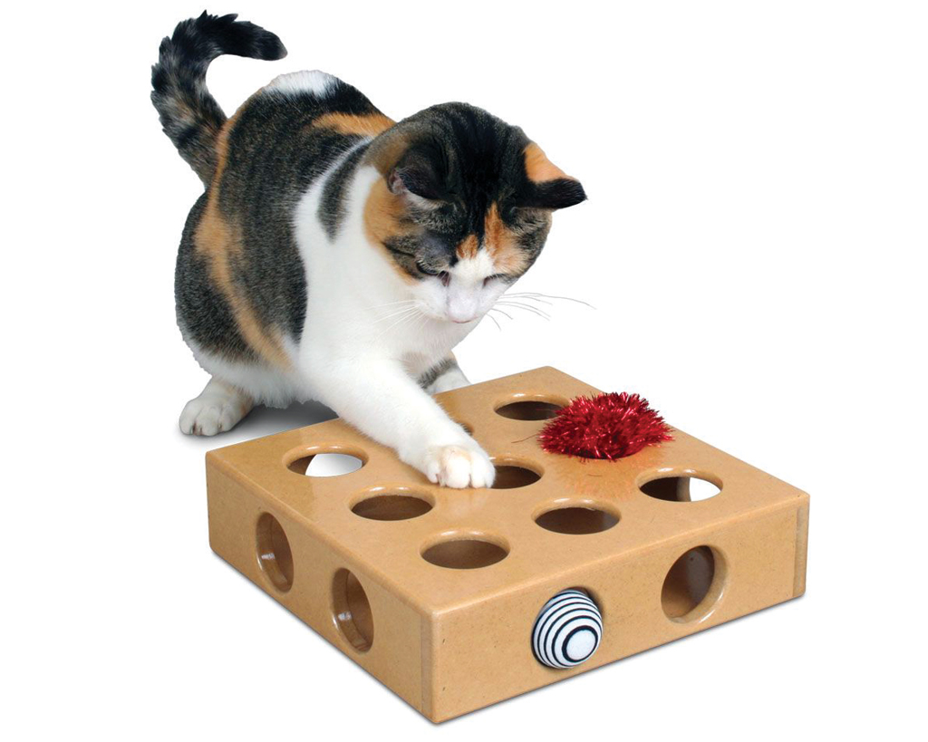 Peek-And-Play Toy Box PioneerPet