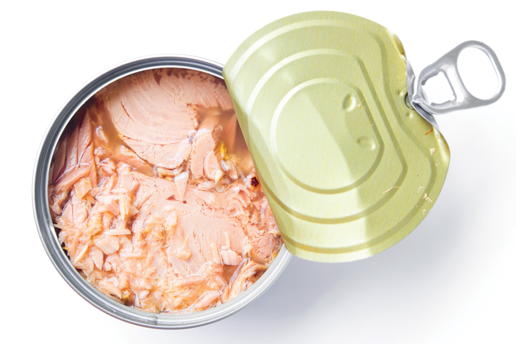 tuna in a can