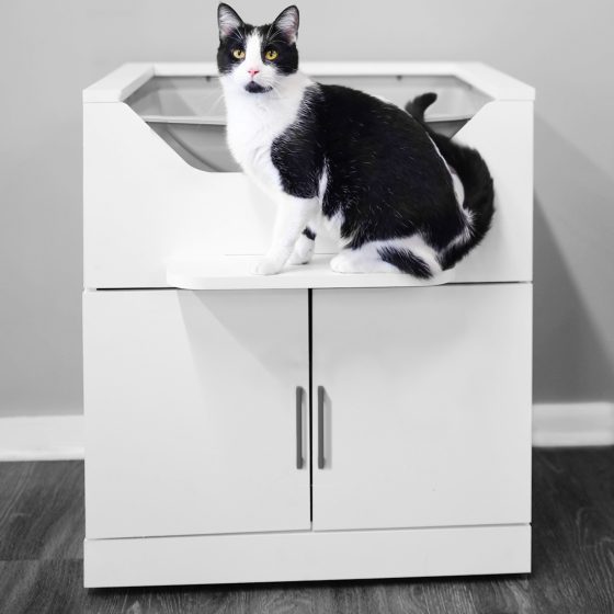 LoftyLoo Raised Litter Station Modern Cat