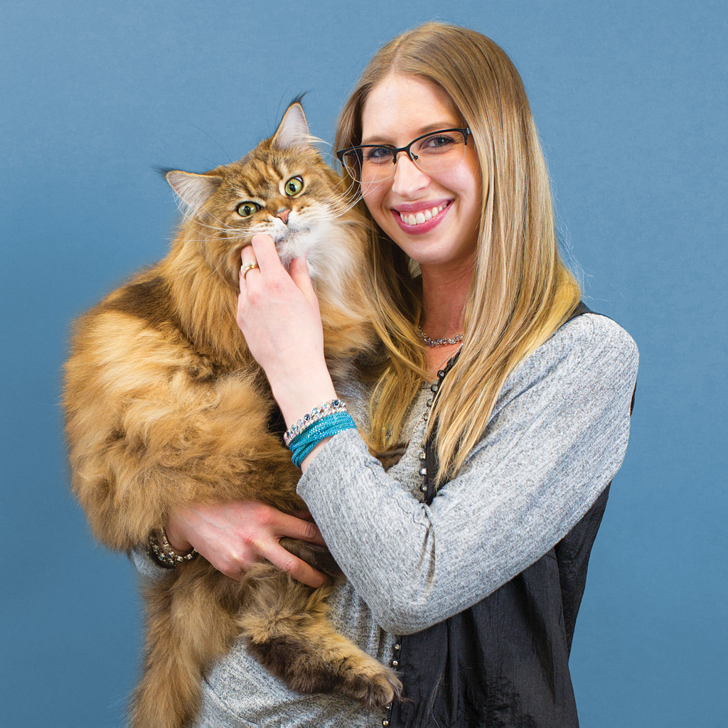 Maine Coon cat