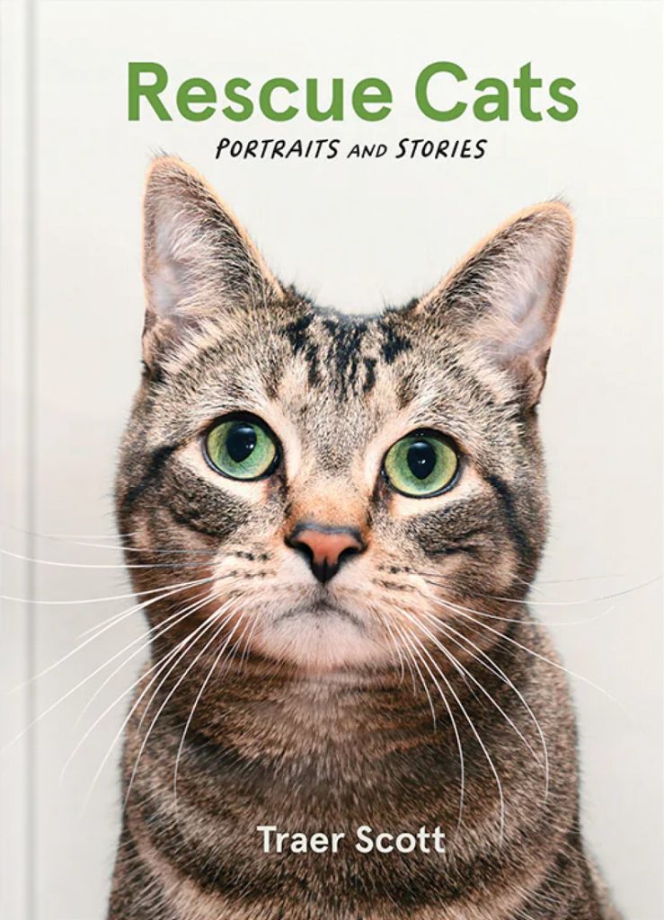 Rescue Cats: Portraits and Stories