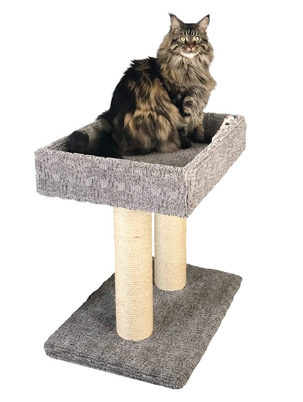 Feline Design Big Zeke cat tree