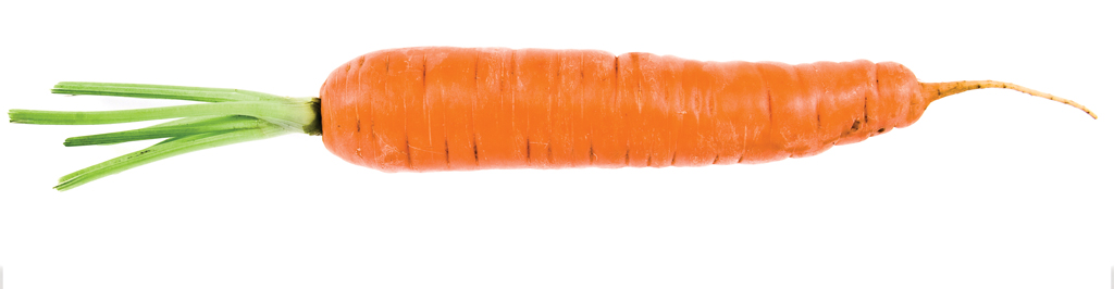 Carrot