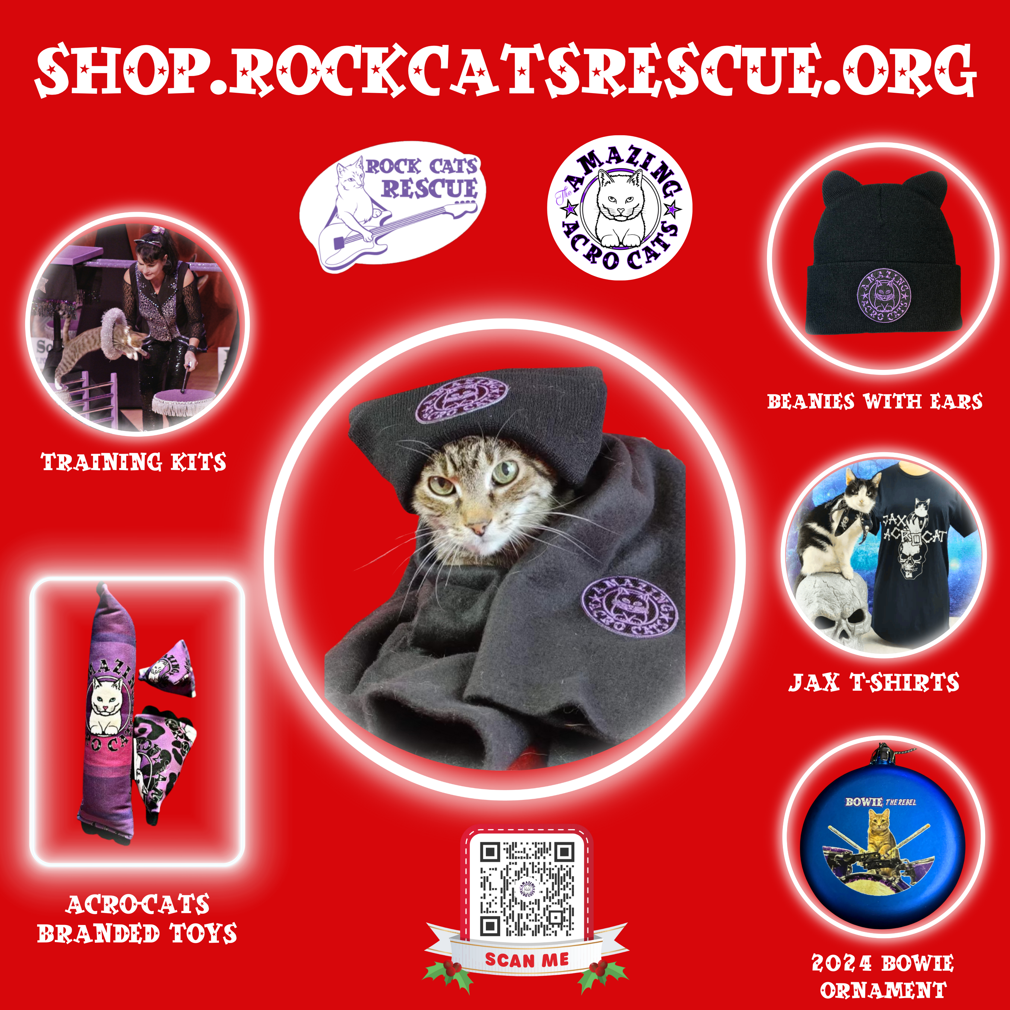 Rock Cats Rescue