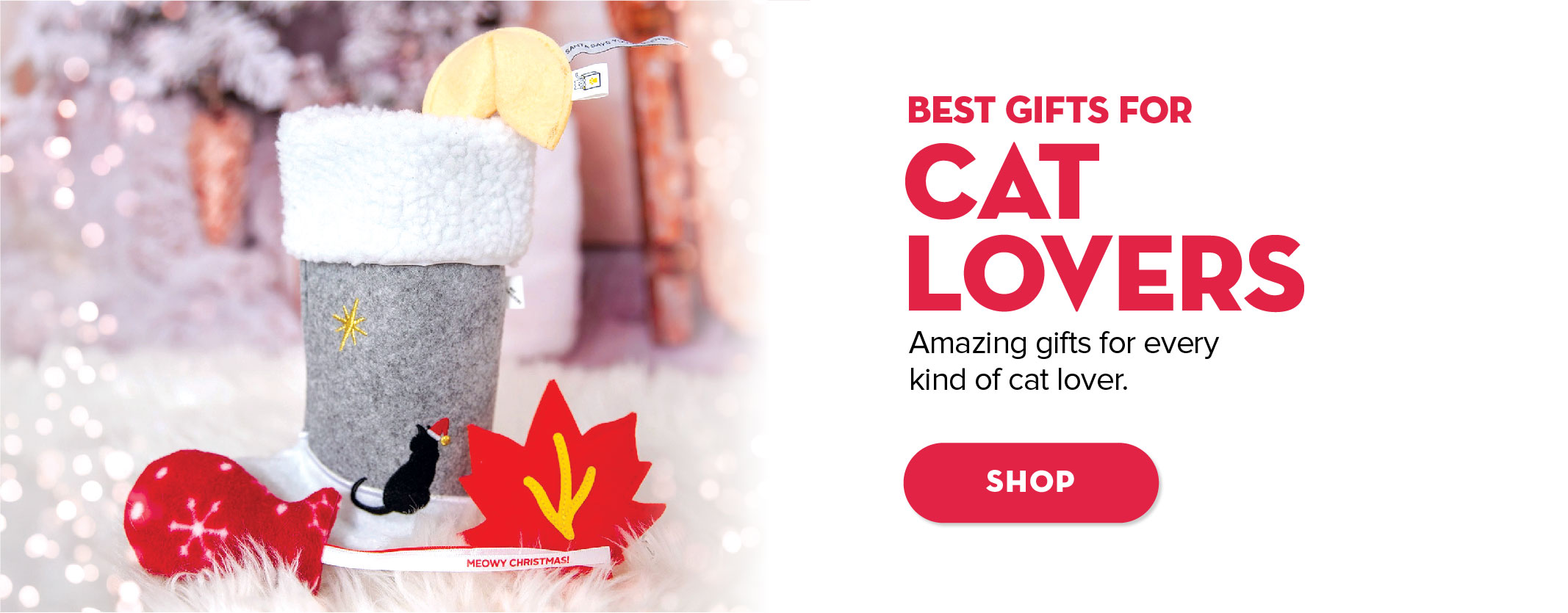 Best gifts for cat Lovers