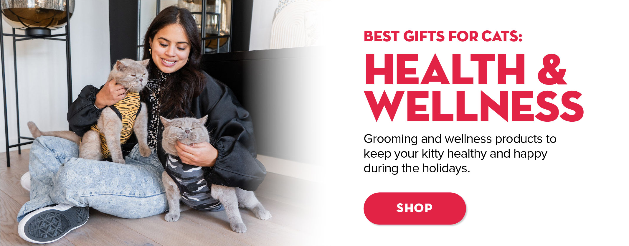 Best gifts for cats: health and wellness