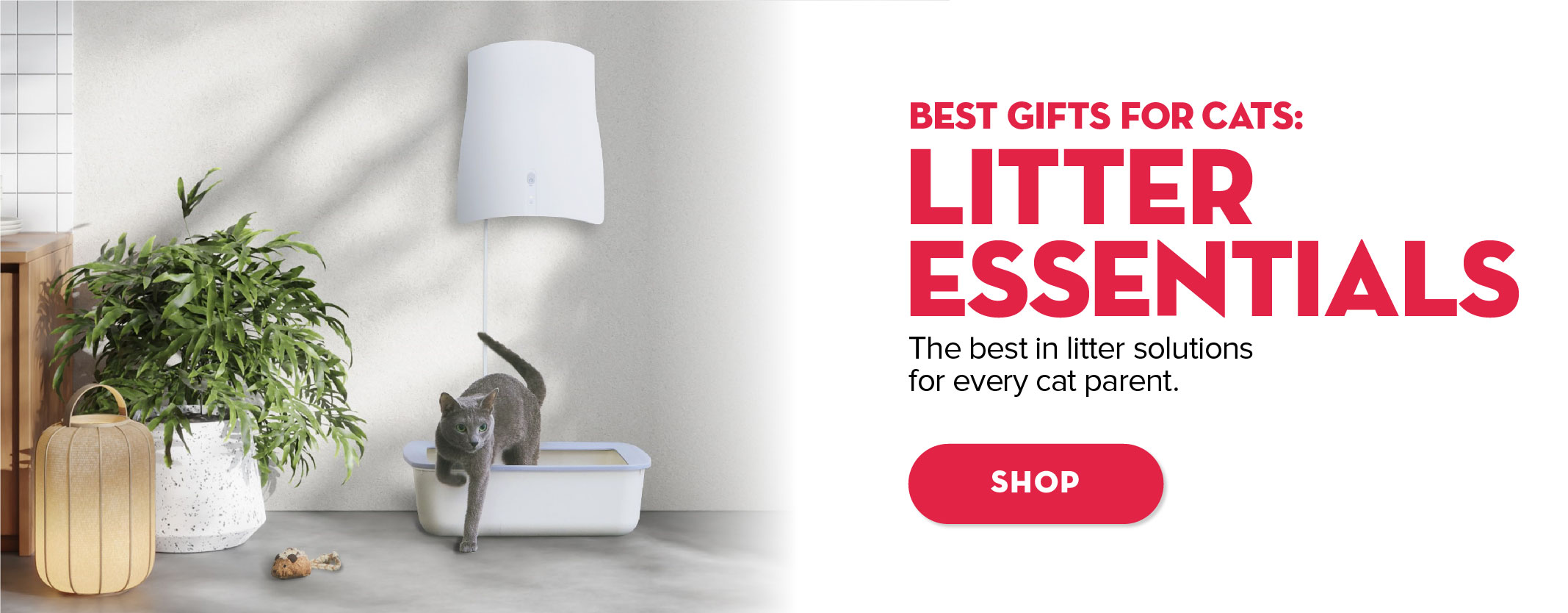 Best gifts for cats: litter essentials