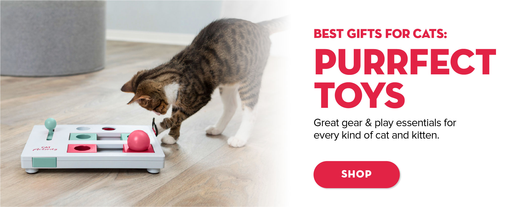 Best gifts for cats: toys