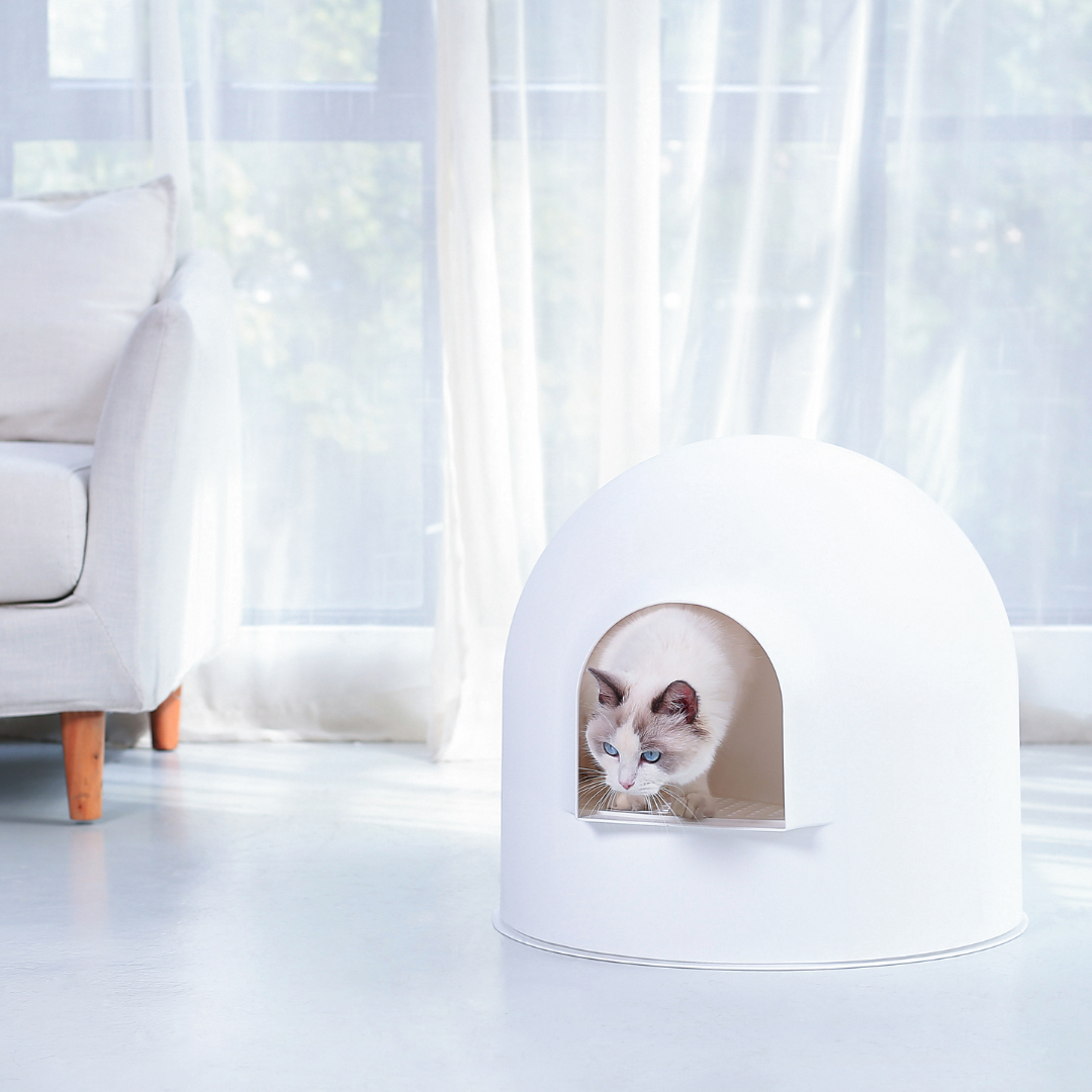 Teddybob Igloo Litter Box